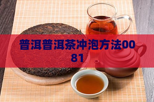 0081普洱茶泡法