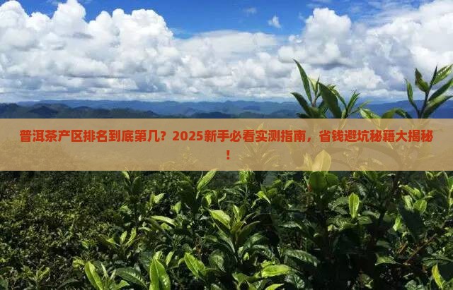 普洱茶产区排名第几名