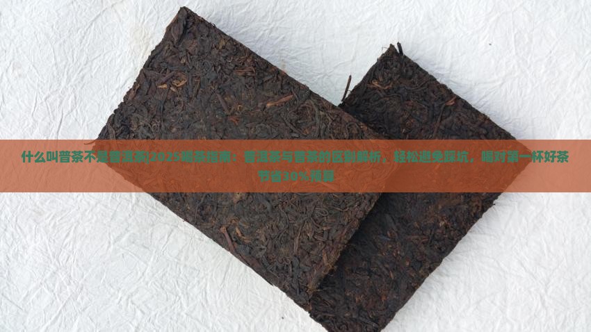 什么叫普茶不是普洱茶