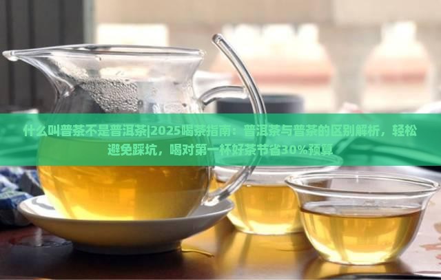 什么叫普茶不是普洱茶