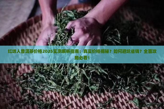 红坊人普洱茶多少钱
