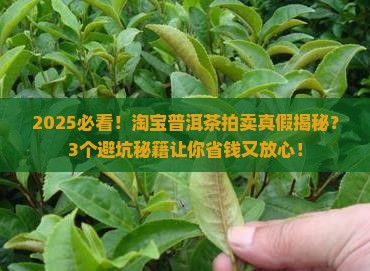 淘宝上的普洱茶拍卖是真的吗