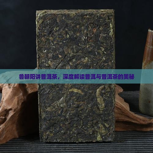 鲁朝阳讲普洱茶