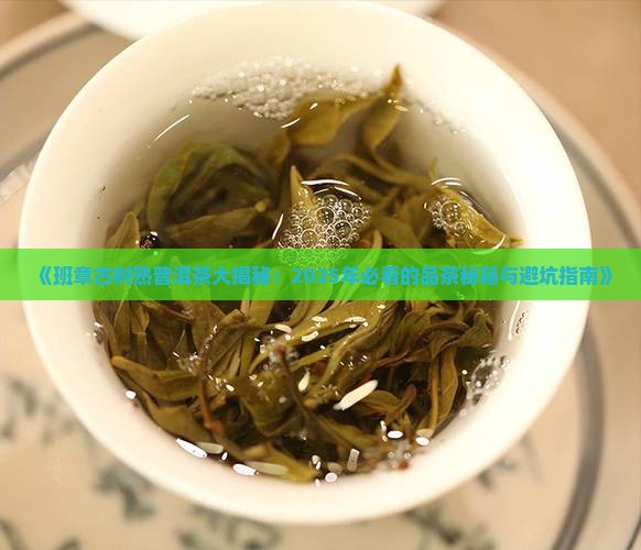 班章古树熟普洱茶