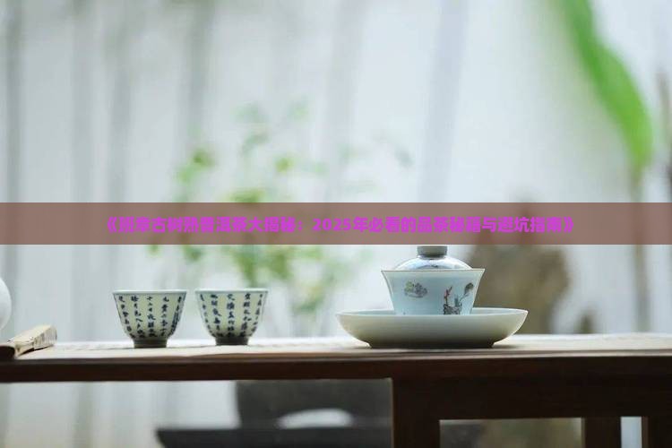 班章古树熟普洱茶