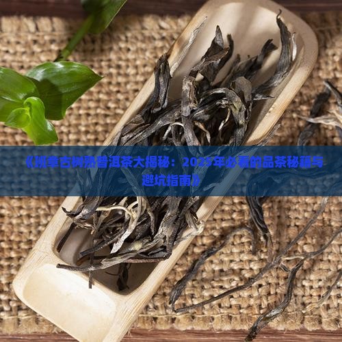 班章古树熟普洱茶