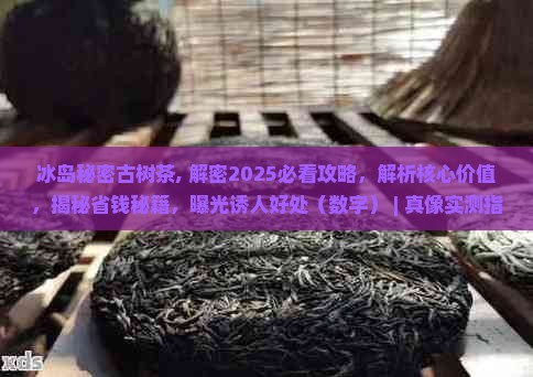冰岛秘密古树茶