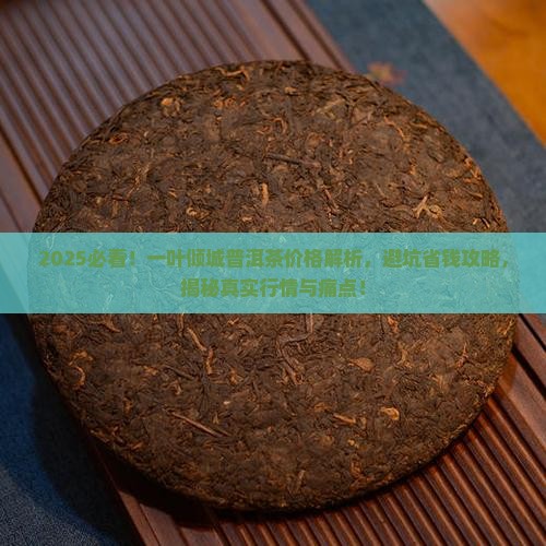 一叶倾城普洱茶价格