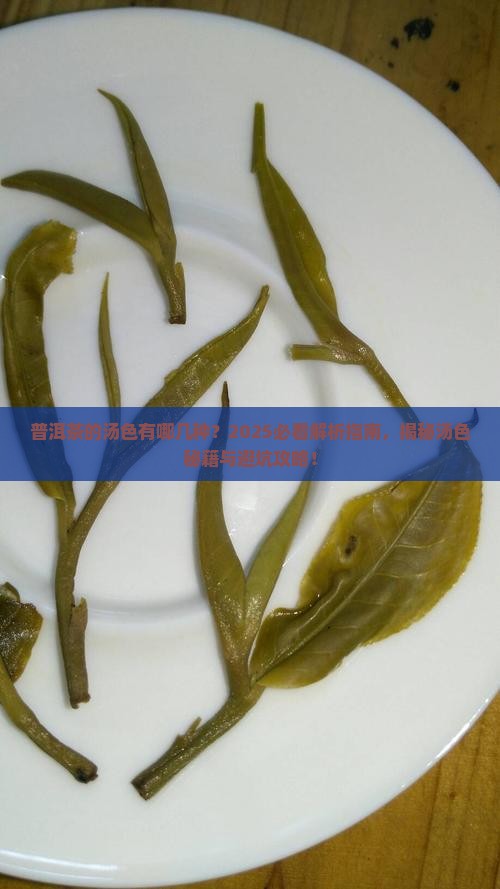 普洱茶的汤色有哪几种