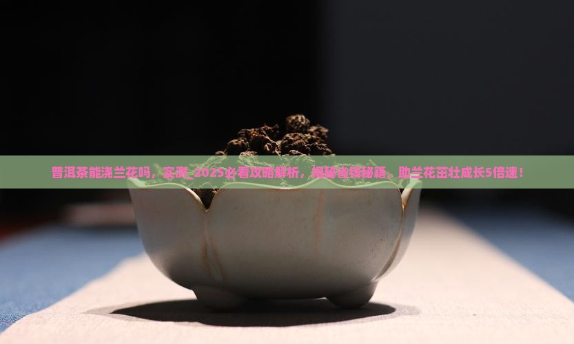普洱茶能浇兰花吗