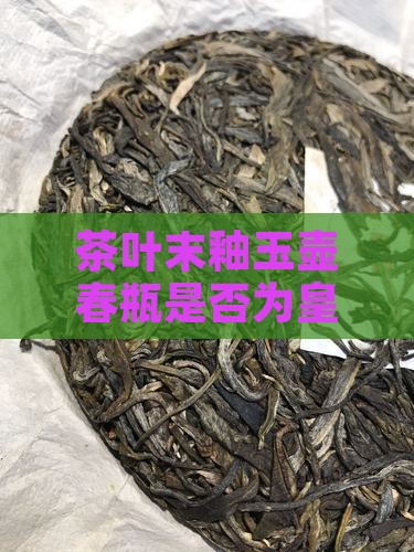 茶叶末釉玉壶春瓶