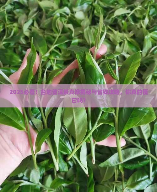 台地普洱茶的优缺点