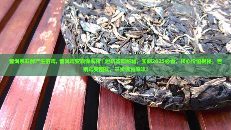 普洱茶发酵产生的霉