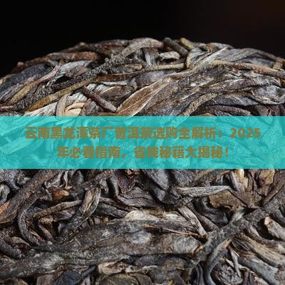 云南黑龙潭茶厂普洱茶