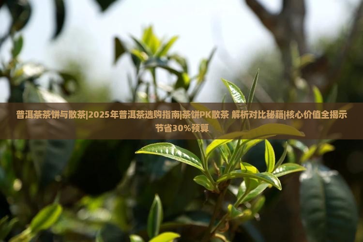 普洱茶茶饼与散茶