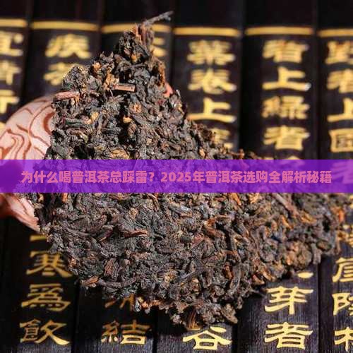 喝普洱茶的描述语