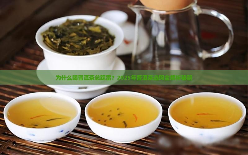 喝普洱茶的描述语