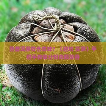 熟普洱茶有仓库味