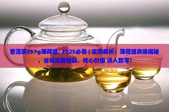 普洱茶357g薄荷塘