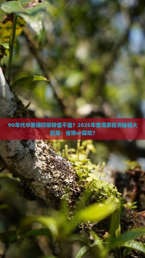 90年代中茶绿印茶砖