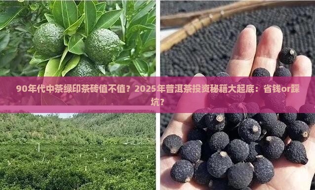 90年代中茶绿印茶砖