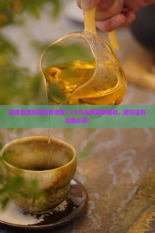 橘皮普洱茶能一起泡吗 橘皮普洱茶能一起泡吗