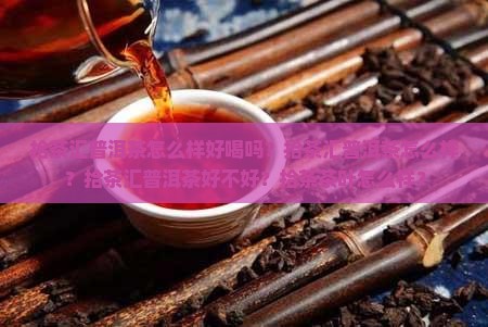拾茶汇普洱茶怎么样