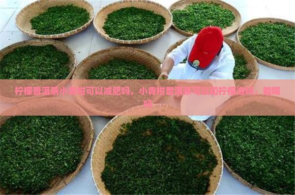柠檬普洱茶小青柑可以减肥吗