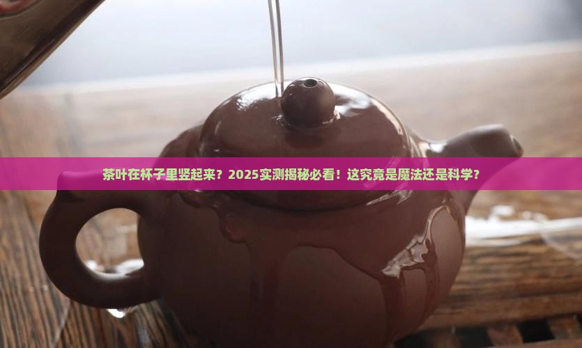 茶叶在杯子里竖起来