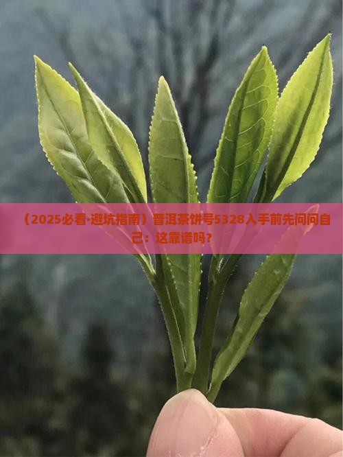 普洱茶饼号5328