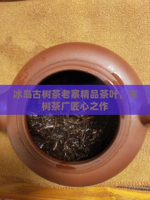 冰岛古树茶老寨