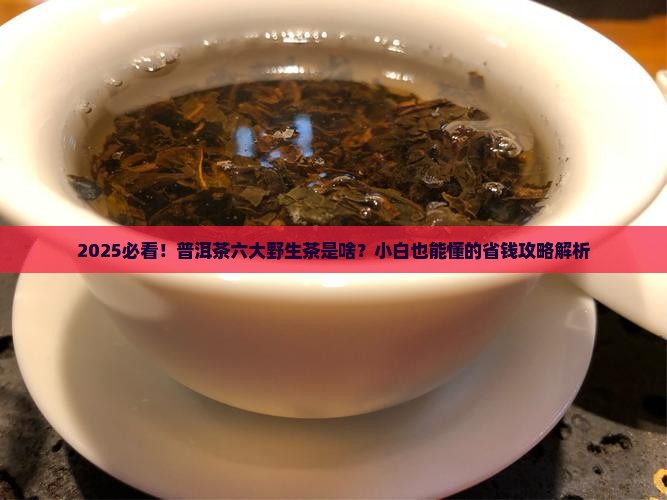 普洱茶六大野生茶是什么