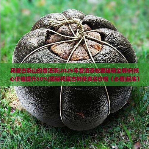 邦崴古茶山的普洱茶