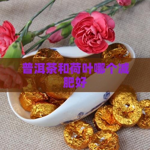 普洱茶和荷叶哪个减肥好