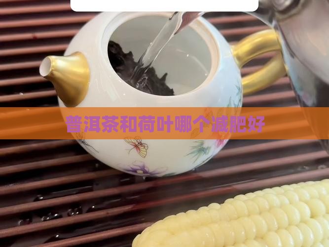 普洱茶和荷叶哪个减肥好