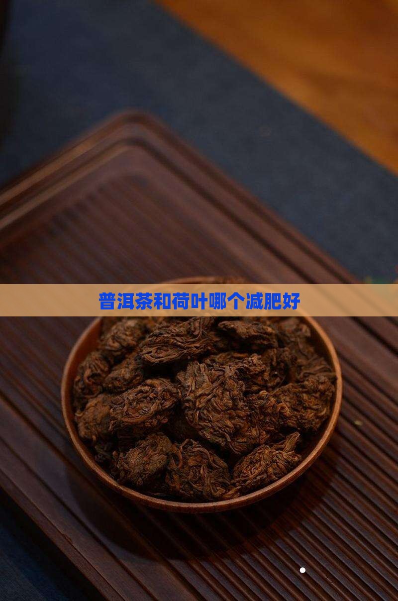 普洱茶和荷叶哪个减肥好