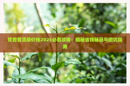 梵若普洱茶价格