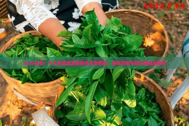 十大陈皮普洱茶排名