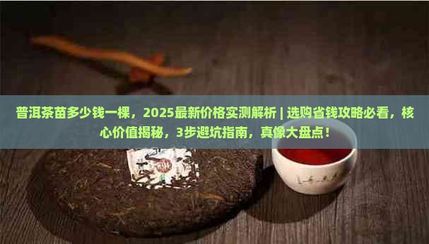 普洱茶苗多少钱一棵