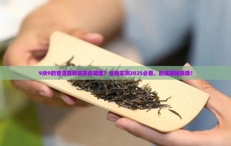 9块9普洱茶来自哪里