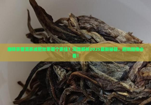 康砖茶普洱茶减肥效果比较