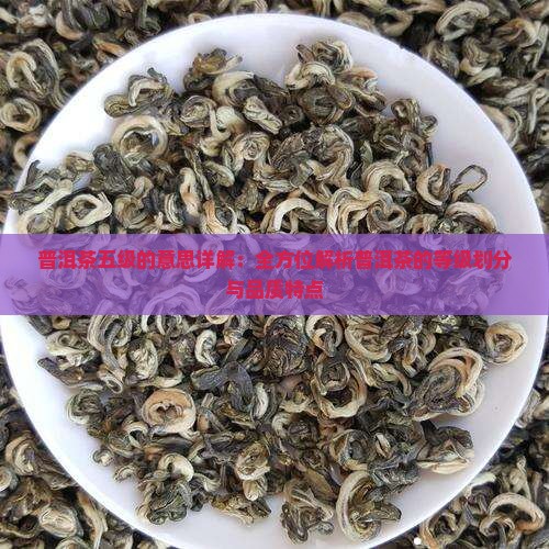 普洱茶五级啥意思