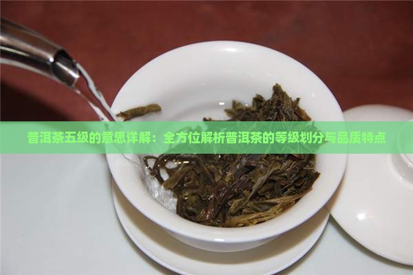 普洱茶五级啥意思