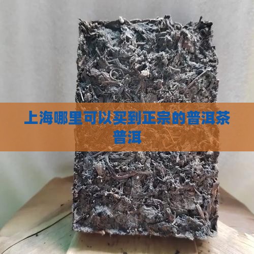 正宗的普洱茶在哪里买上海