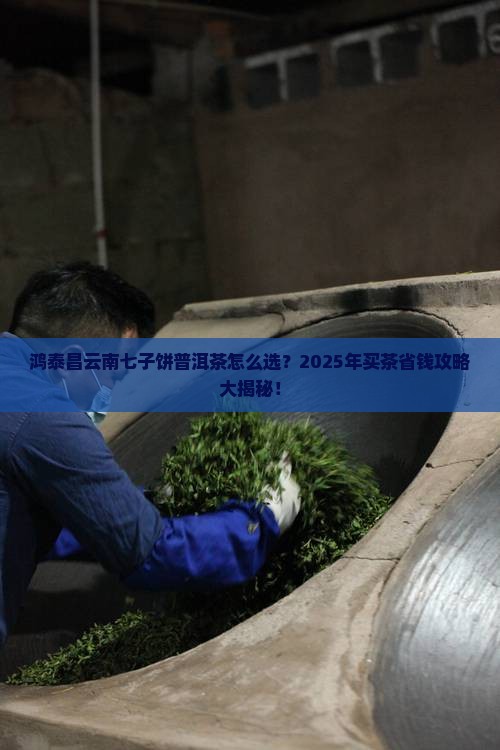鸿泰昌云南七子饼普洱茶