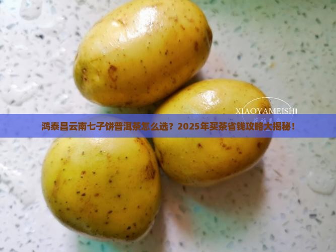 鸿泰昌云南七子饼普洱茶