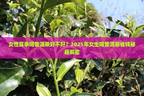女性夏季喝普洱茶好不好