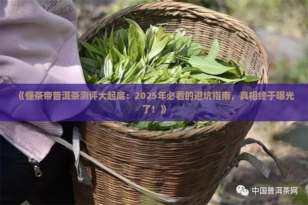 懂茶帝普洱茶测评