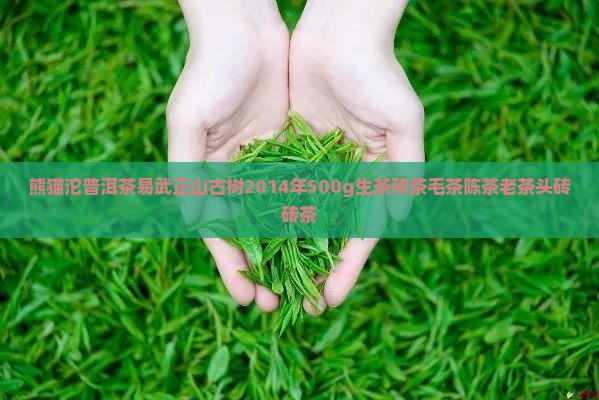 熊猫坨普洱茶易武正