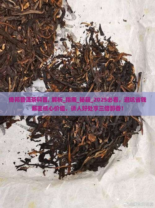 倚邦普洱茶科普